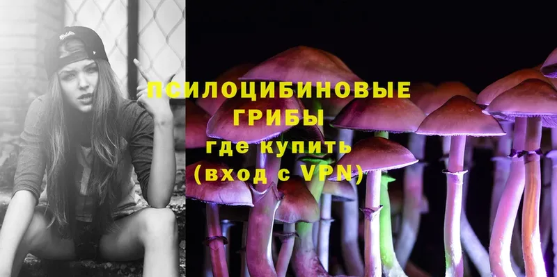 Галлюциногенные грибы Magic Shrooms  кракен зеркало  Отрадная 